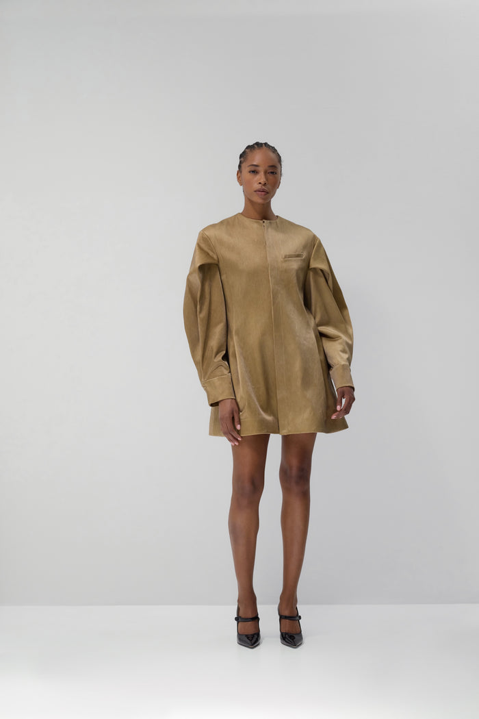 Arden Shirtdress