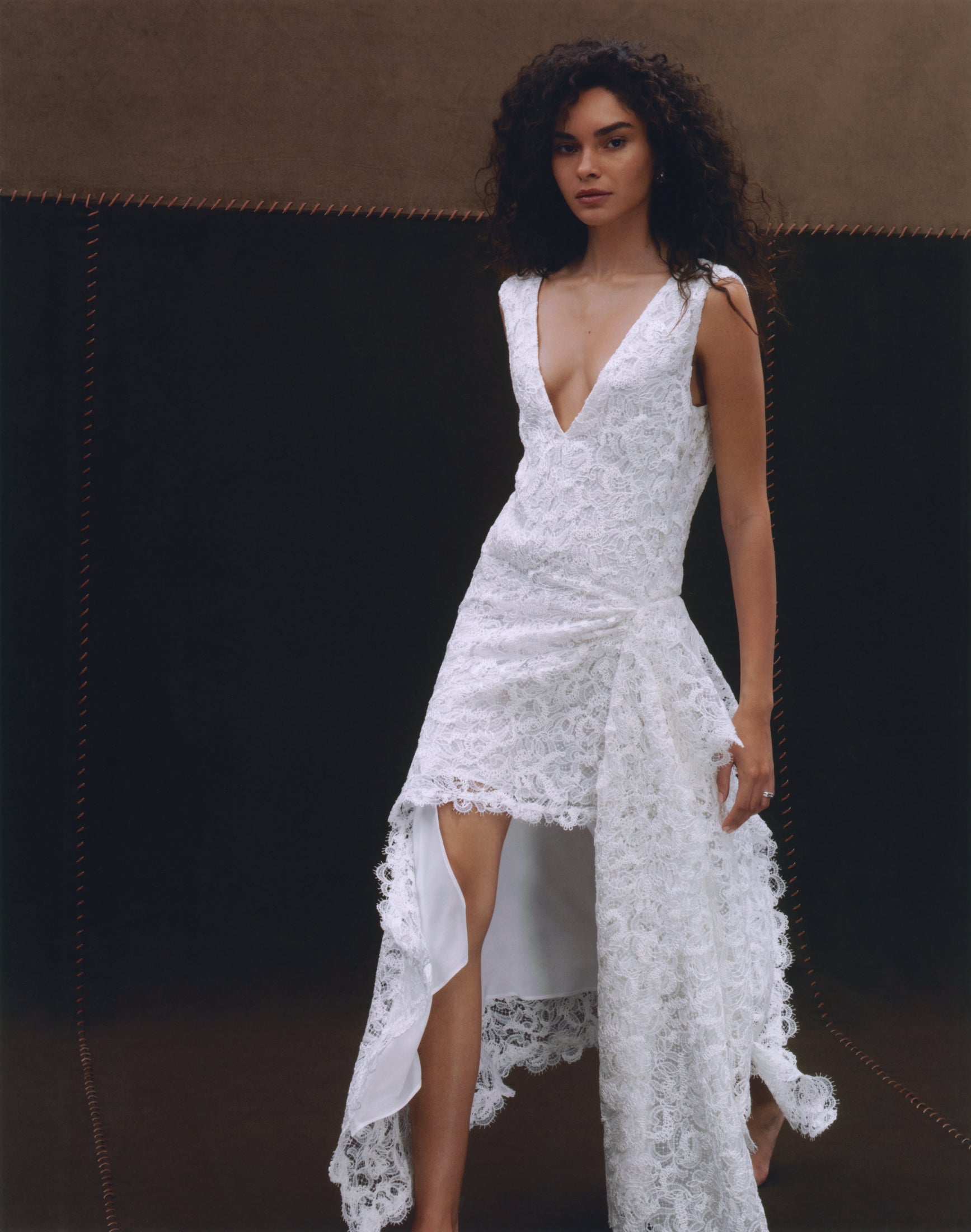 Evie Lace Dress – LEIN
